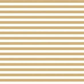 stripes || mustard MINI scale