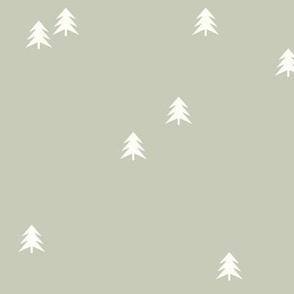 spruce || mint REGULAR scale