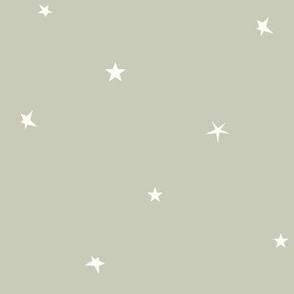 stars || mint REGULAR scale