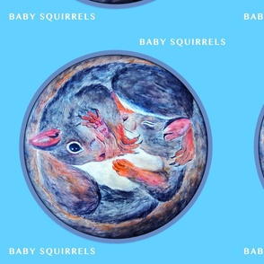 BABY SQUIRRELS