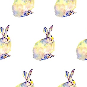 Rabbit  - Multicolor