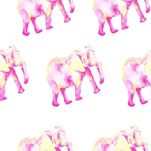 Pink elephant 