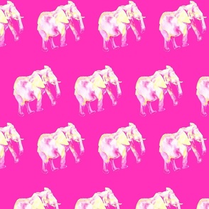 Vibrant Pink Elephant