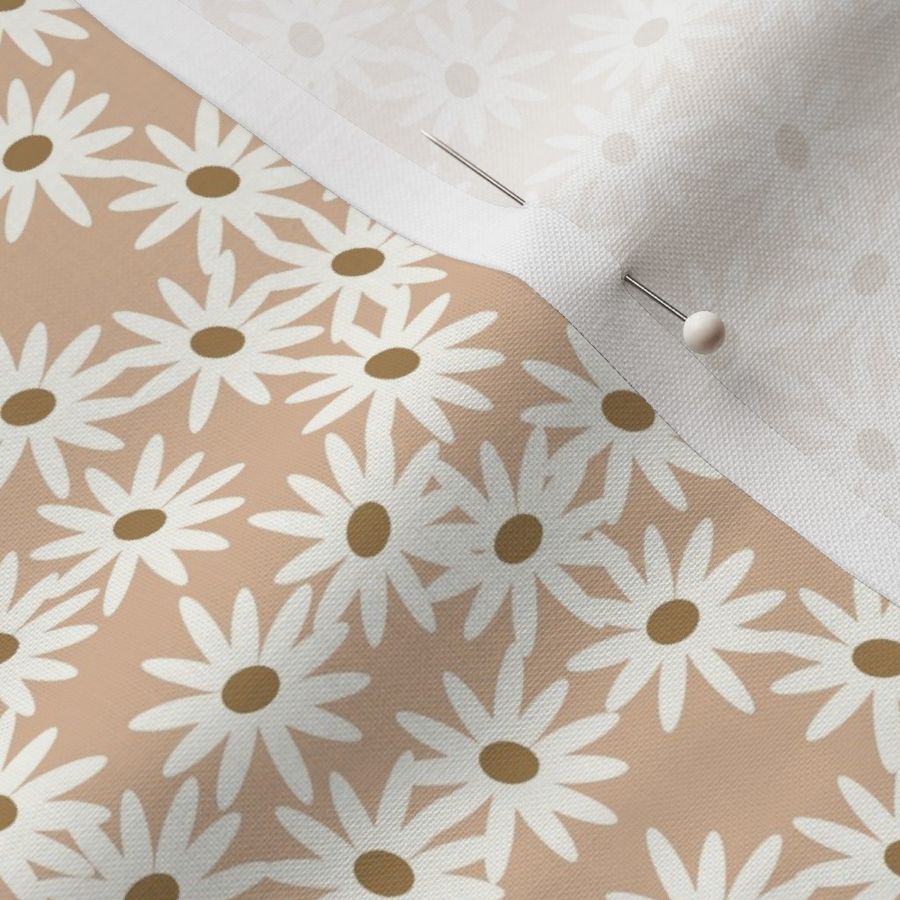 daisies - peach daisies floral