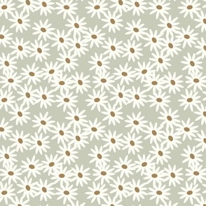 daisies - mint floral