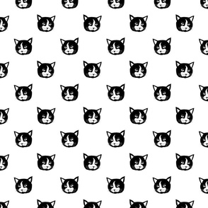 Cat in black on white background -small