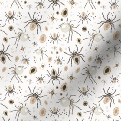 Bejeweled Spiders in Pearl