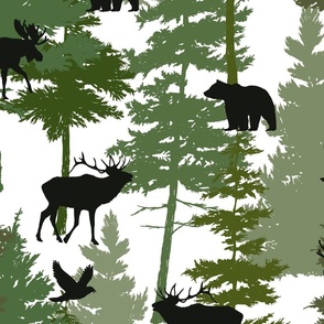 Animals and Forest