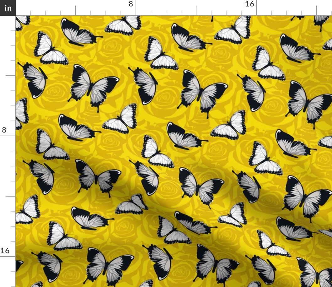 Small Gray Butterflies on Yellow
