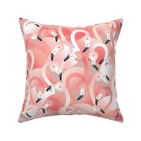 a flamboyance of flamingos