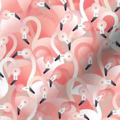 a flamboyance of flamingos - small