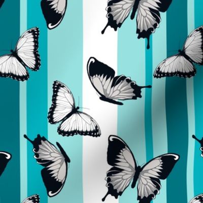 Gray Butterflies on Blue Stripes