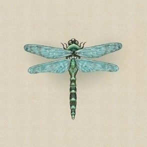 Dragonfly - Oatmeal Textured, Half Brick