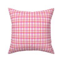 (extra small scale) valentines watercolor plaid C21