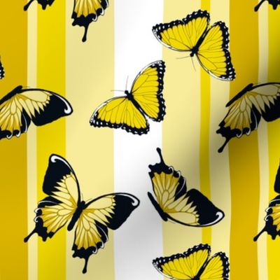 Yellow Butterflies on Yellow Stripes
