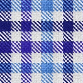 Asymmetric tricolor and white gingham plaid in Blueberry Blues