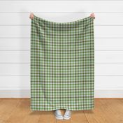 Asymmetric tricolor and white gingham plaid in Asparagus Greens