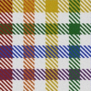 Six Color Rainbow Asymmetric Gingham Plaid