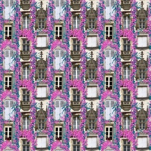 Collage of French windows with hand drawn bougainvillea climbers 6” repeat