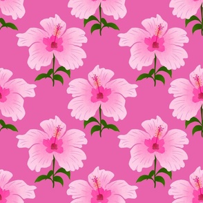 Hibiscus flower - pink
