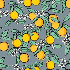 Fresh citru sfruits-ight Slate Grey