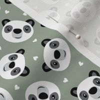 Cute Panda with hearts - sage - LAD21