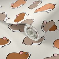 hamsters - cream - small critter pets - LAD21