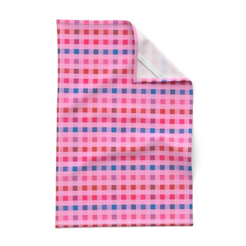 Smaller Scale - Picnic Plaid in Candy Kiss