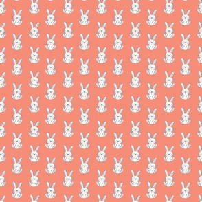 Bunny Bunny Orange