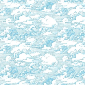 cloud engraving lt.blue