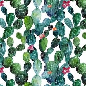 Cactus green wall small size