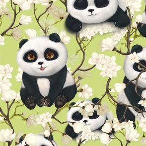 adorable blossoming panda