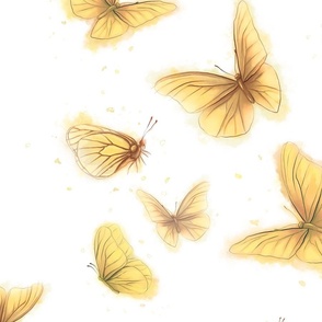 Yellow butterflies 