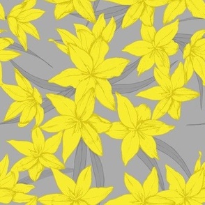 Yellow flowers on gray background