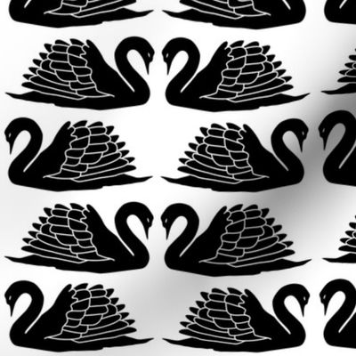 medium - swan love in black on white