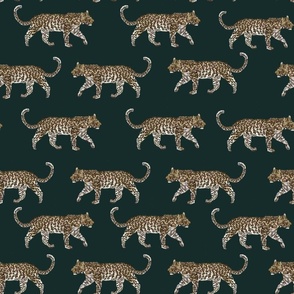 leopard march dark green