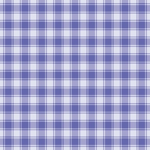 Periwinkle Gingham Custom Checks - Small Scale 