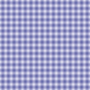 Periwinkle Gingham Checks - Ditsy