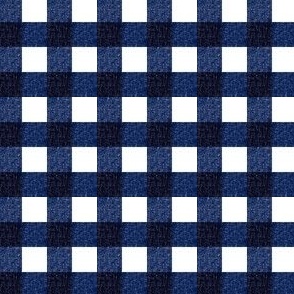 Textured Farmhouse Navy Gingham Small Scale