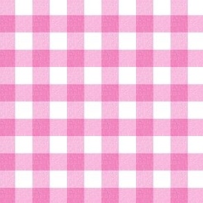 Textured Farmhouse Pink Gingham Small Scale
