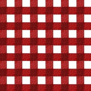 Textured Farmhouse Red Gingham Small Scale