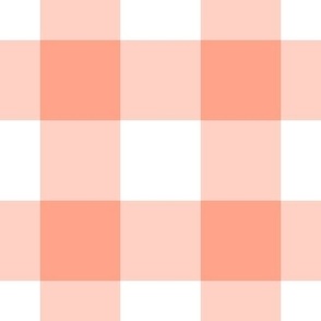 Jumbo Gingham Pattern - Peach and White