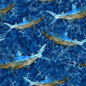 Blue Mako Shark Pattern