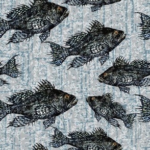 Black Sea Bass Pattern