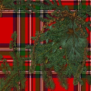 Jolly Holiday ~ Pine Boughs on Antique Royal Stewart Tartan ~  Richelieu  ~ Jumbo