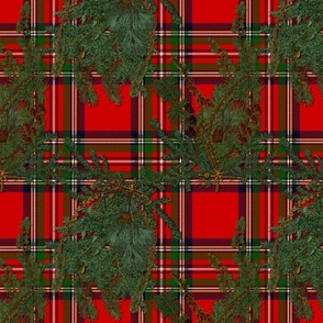 Jolly Holiday ~ Pine Boughs on Antique Royal Stewart Tartan ~  Richelieu  ~ Large