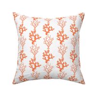 Sea Coral, Orange & White