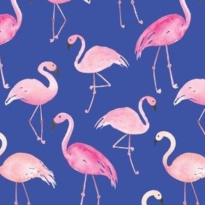 flamingos on blue_Medium