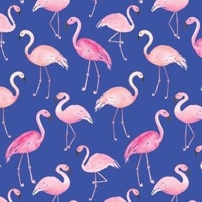 flamingos on blue_Small