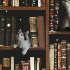 Cats in the library